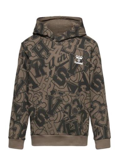 Hmlmolt Hoodie Hummel Brown