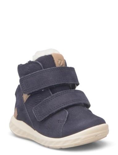 Sp.1 Lite Infant ECCO Navy