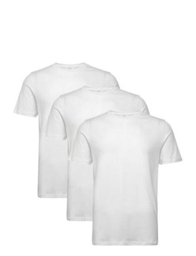 Bless 3 Pack Reiss White