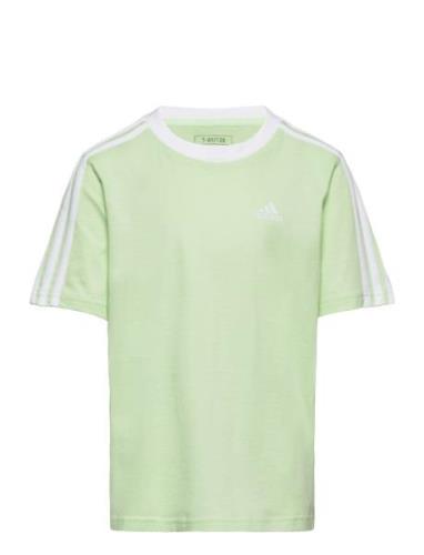 G 3S Bf T Adidas Performance Green