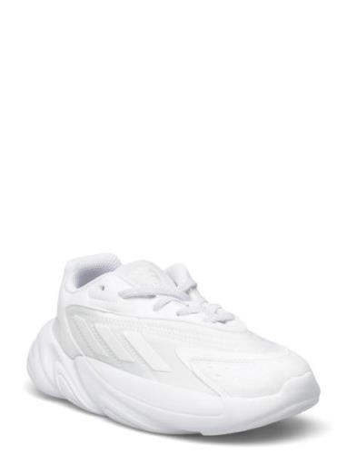 Ozelia El C Adidas Originals White