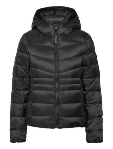 Hooded Fuji Quilt Padded Jkt Superdry Black