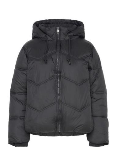 Fqshorty-Jacket FREE/QUENT Black