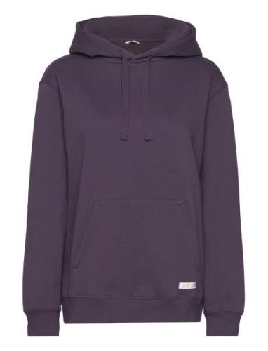 Centre Hoodie Björn Borg Purple