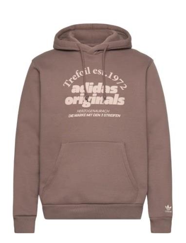 Grf Hoodie Adidas Originals Brown