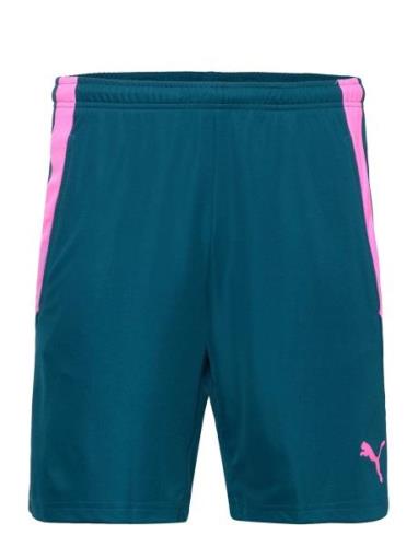 Teamliga Training Shorts 2 PUMA Blue