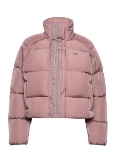 Short Down Jacket Adidas Originals Pink