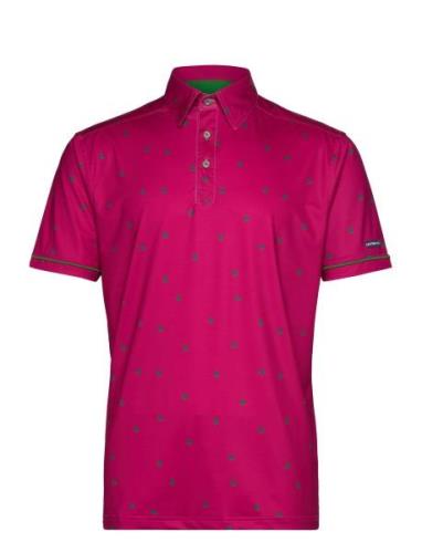 Carnaby Polo Lexton Links Pink