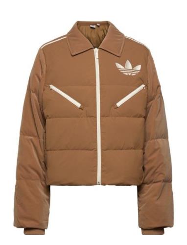 Velvet Puffer Adidas Originals Brown