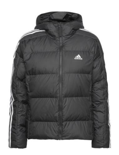 W Ess M D Ho J Adidas Sportswear Black