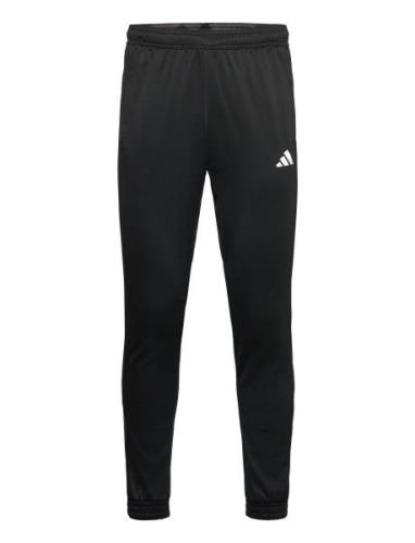 Adidas Train Essentials Camo Training Pant Adidas Performance Black