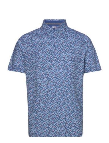 Polaroid Confetti Polo Callaway Blue