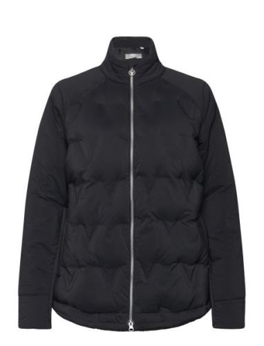 Chev Primaloft Jacket Callaway Navy