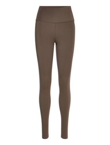 Franz W Tights Athlecia Brown