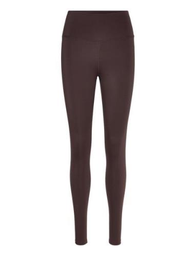 Franz W Tights Athlecia Brown