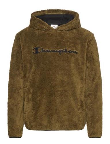 Hooded Top Champion Khaki