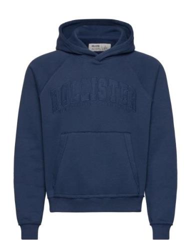 Hco. Guys Sweatshirts Hollister Blue