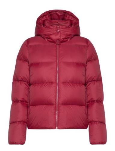 Mw Down Short Puffer Calvin Klein Jeans Pink