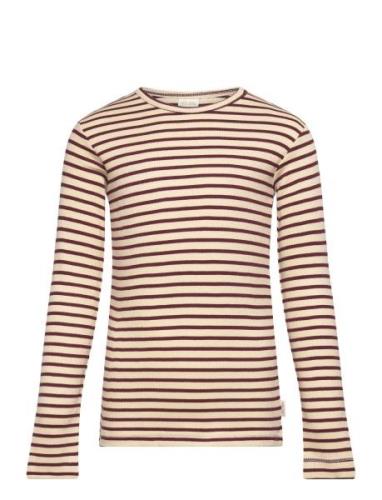 T-Shirt L/S Modal Striped Petit Piao Brown