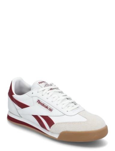 Campio Xt Reebok Classics White