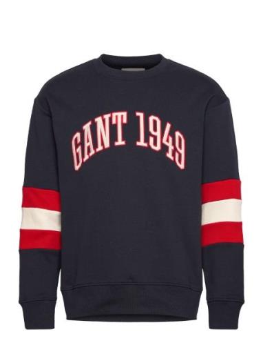 Colorblock Sleeve Cneck GANT Navy