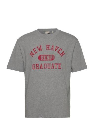 Graphic T-Shirt GANT Grey