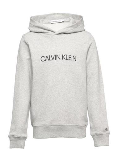 Institutional Logo Hoodie Calvin Klein Grey