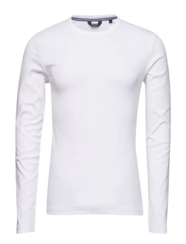 Basic Tee O-Neck L/S Lindbergh White