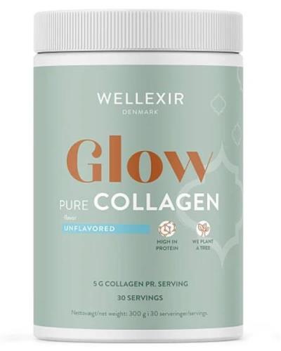 Wellexir Glow Pure Collagen 360 g