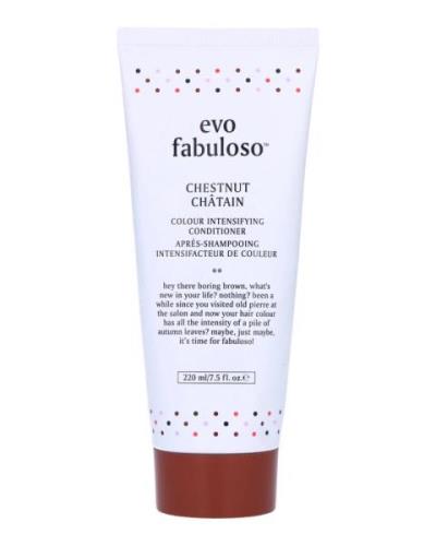 Evo Fabuloso Chestnut Châtain Colour Intensifying Treatment 220 ml