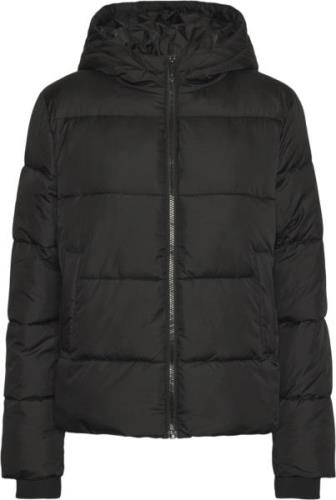 Pieces Pcbee NEW Short Puffer Jacket Noos Kvinde Sort Overgangsjakker ...