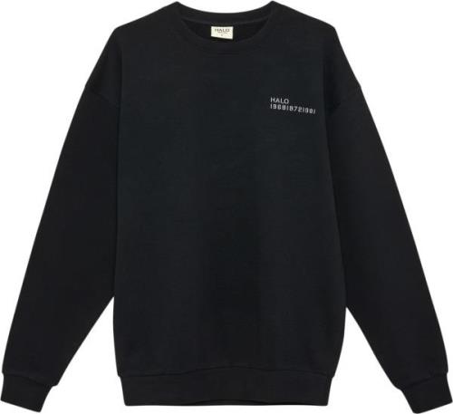 Newline HALO Halo Essential Crew Mand Sort Sweatshirts Str L - hos Mag...