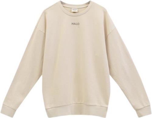 Newline HALO Halo Duty Crew Mand Oyster Gray Sweatshirts Str L - hos M...