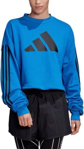 adidas Adjustable 3ipes Sweatshirt S - Hættetrøjer & Sweatshirts Bomul...