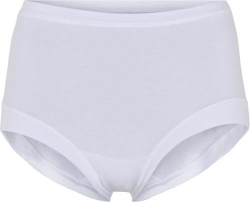 JBS of Denmark JBS of DK Maxi Bamboo Briefs Str M - hos Magasin