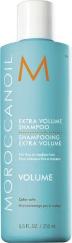 Moroccanoil Extra Volume Shampoo 250 ml - Shampoo hos Magasin