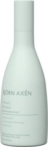 Björn Axén Moisture Shampoo 250 ml - Shampoo hos Magasin