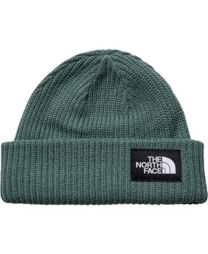 The North Face Salty Lined Beanie Dark Sage REGOS - Huer hos Magasin