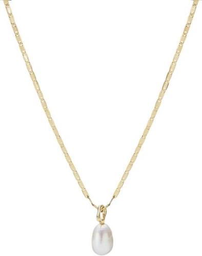 Maria Black Peblinge Necklace Gold 50cm - Halskæder Med Vedhæng hos Ma...