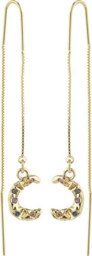 Pilgrim Remy Recycled Chain Earrings Goldplated one size - Ørehænger h...