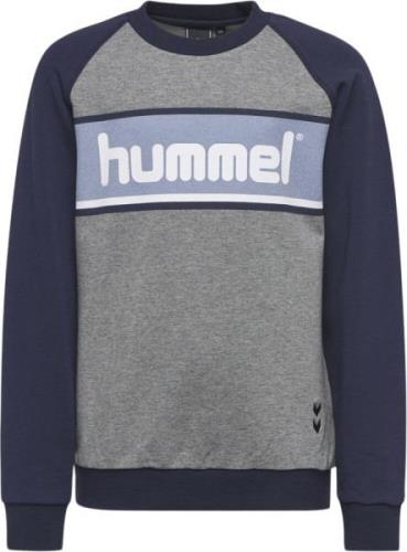 Hummel Liam Sweatshirt 116 - Sweatshirts & Hættetrøjer Bomuld hos Maga...