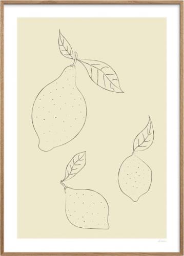 Poster & Frame Simple Lemon Flerfarvet Str 50x70 - Plakater hos Magasi...