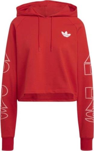 adidas Cropped Hoodie Kvinde Red Hættetrøjer Str 40 - Bomuld hos Magas...