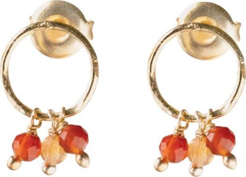 A Beautiful Story Genuine Carnelian Citrine Earrings GP 1,5cm - Øresti...