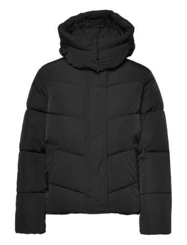 Modern Padded Jacket Foret Jakke Black Calvin Klein