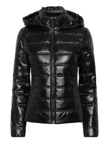 Lw Padded Waisted Nylon Jacket Foret Jakke Black Calvin Klein