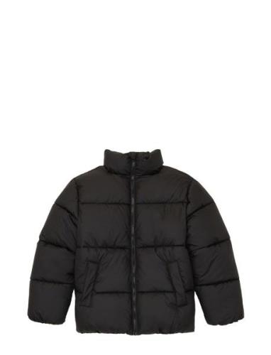 Puffer Winter Jacket Foret Jakke Black Tom Tailor