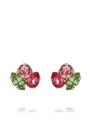Ana Earrings Gold Accessories Jewellery Earrings Studs Red Caroline Sv...