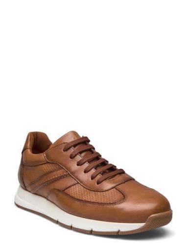 Adlay Low-top Sneakers Brown Lloyd