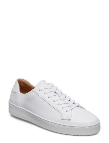 Salasi L Low-top Sneakers White Tiger Of Sweden
